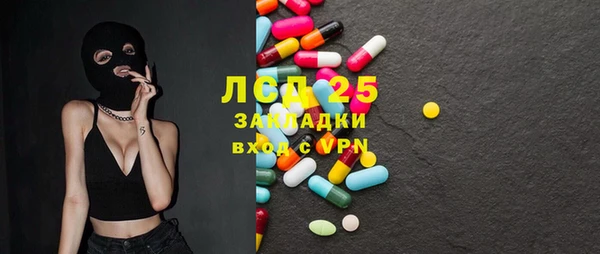 индика Богородицк