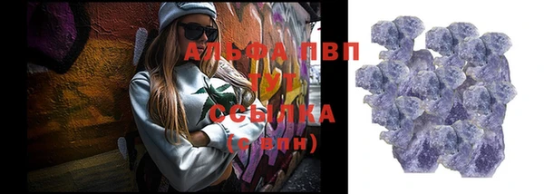 индика Богородицк