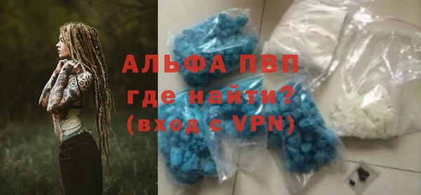 индика Богородицк