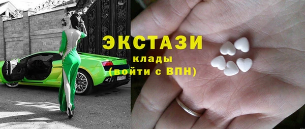 индика Богородицк