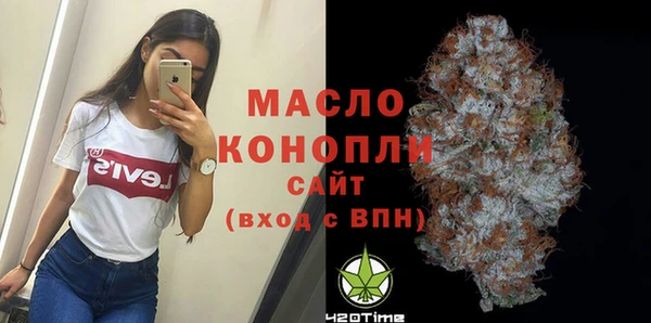 индика Богородицк