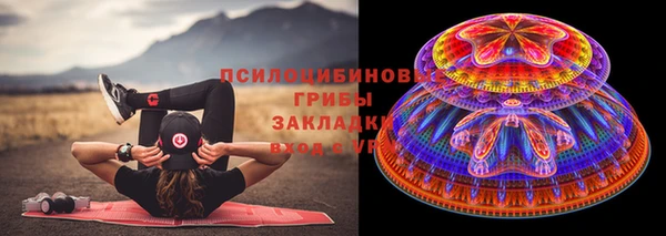 индика Богородицк