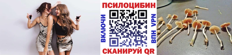 KRAKEN tor наркотики Нижнекамск Галлюциногенные грибы MAGIC MUSHROOMS